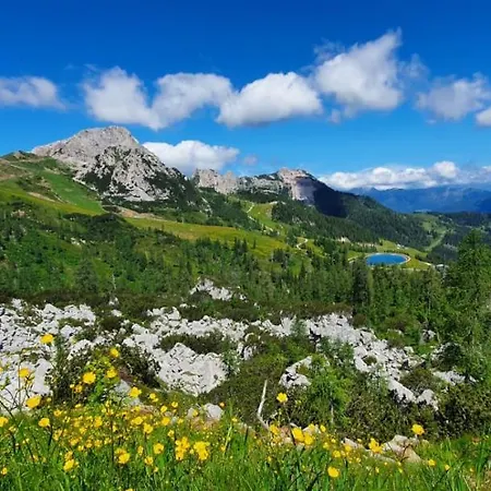 公寓 Almhaus Nassfeld 索内纳尔佩·纳斯费尔德