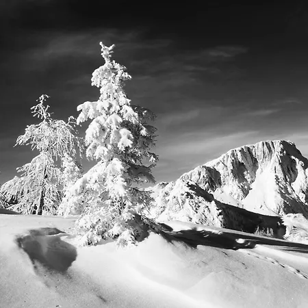 Almhaus Nassfeld דירה *