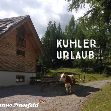 Almhaus Nassfeld Daire