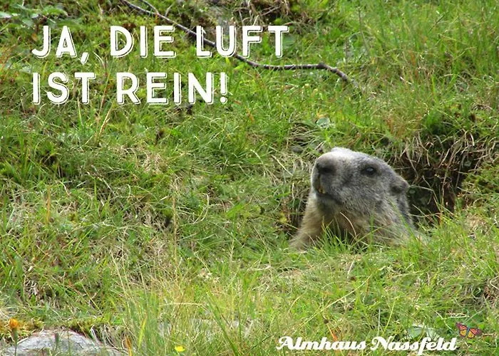 Almhaus Nassfeld * זוננאלפה נאספלד